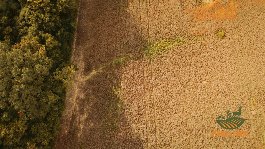 Still 2025-10-28 135545_1.8.1.png